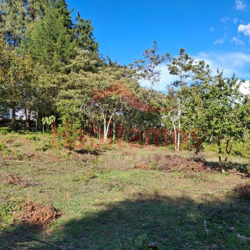 Lote en venta en Los Pinos, Rionegro, 7950 m² · foto 13 de 14