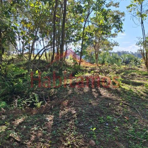 Lote en venta en Los Pinos, Rionegro, 7950 m² · foto 14 de 14
