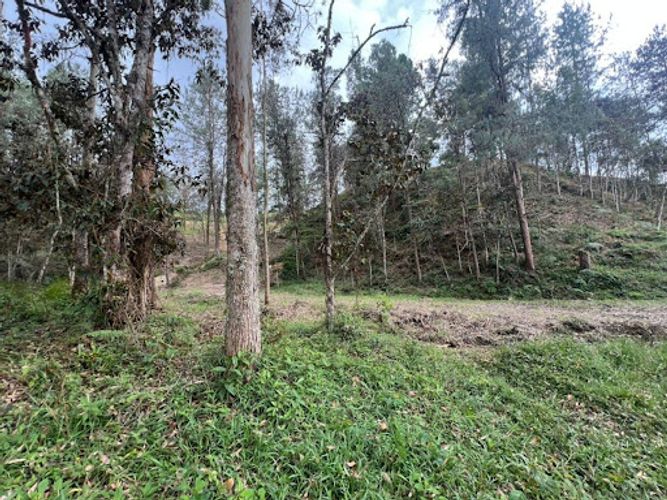 Lote en venta en El Portento, El Retiro, 2826 m² · foto 3 de 18