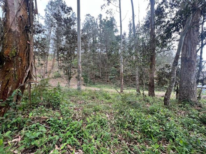 Lote en venta en El Portento, El Retiro, 2826 m² · foto 4 de 18