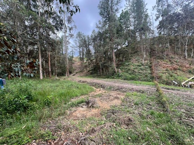 Lote en venta en El Portento, El Retiro, 2826 m² · foto 5 de 18