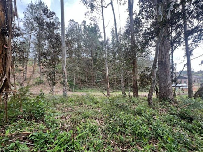 Lote en venta en El Portento, El Retiro, 2826 m² · foto 7 de 18