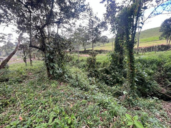 Lote en venta en El Portento, El Retiro, 2826 m² · foto 8 de 18