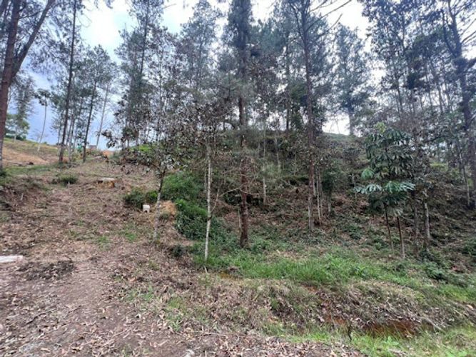 Lote en venta en El Portento, El Retiro, 2826 m² · foto 10 de 18