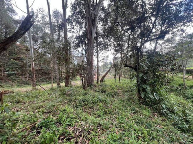 Lote en venta en El Portento, El Retiro, 2826 m² · foto 11 de 18