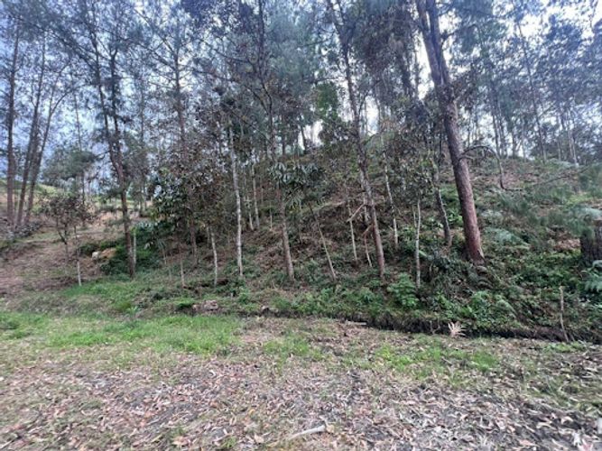 Lote en venta en El Portento, El Retiro, 2826 m² · foto 12 de 18