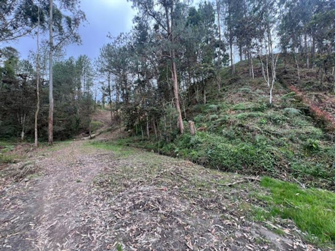 Lote en venta en El Portento, El Retiro, 2826 m² · foto 13 de 18