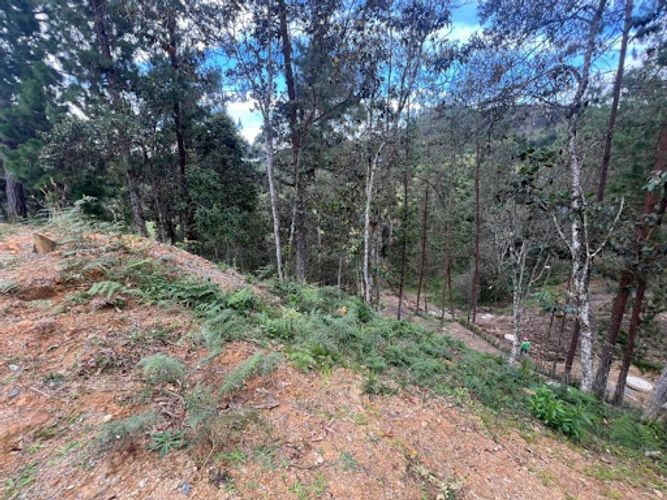 Lote en venta en El Portento, El Retiro, 2826 m² · foto 14 de 18