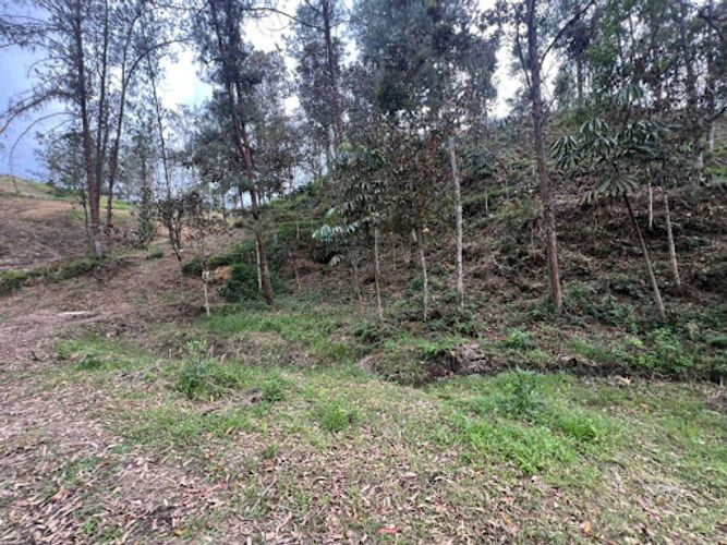 Lote en venta en El Portento, El Retiro, 2826 m² · foto 16 de 18