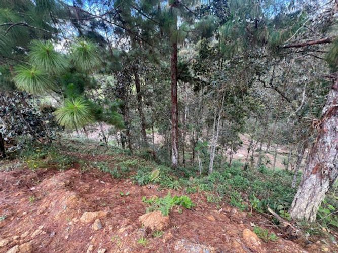 Lote en venta en El Portento, El Retiro, 2826 m² · foto 18 de 18