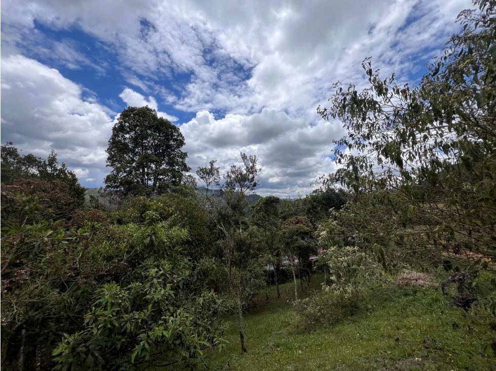 Land in Don diego (3286 m²) for Sale - 2