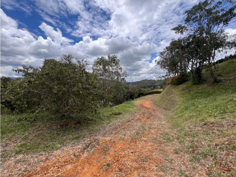 Land in Don diego (3286 m²) for Sale - 3