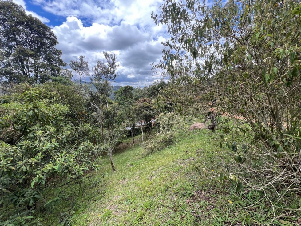 Land in Don diego (3286 m²) for Sale - 4