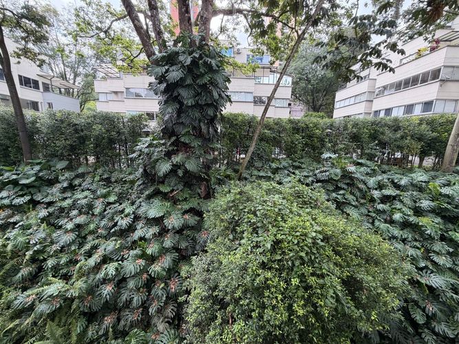 Apartamento de 4 alcobas en venta en El Poblado, Medellín, 263 m² · foto 24 de 24