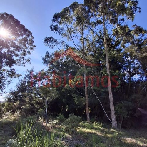 Lote en venta en Los Pinos, Rionegro, 9258 m² · foto 2 de 13