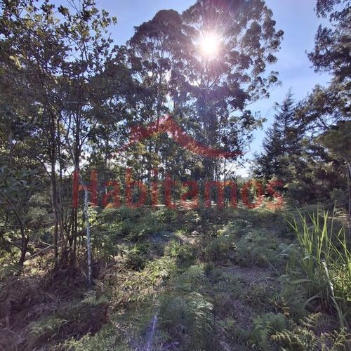 Lote en venta en Los Pinos, Rionegro, 9258 m² · foto 3 de 13