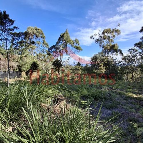 Lote en venta en Los Pinos, Rionegro, 9258 m² · foto 4 de 13