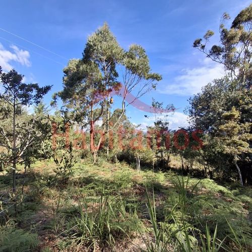 Lote en venta en Los Pinos, Rionegro, 9258 m² · foto 5 de 13