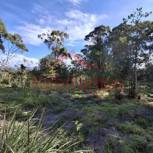 Lote en venta en Los Pinos, Rionegro, 9258 m² · foto 8 de 13