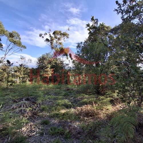 Lote en venta en Los Pinos, Rionegro, 9258 m² · foto 9 de 13