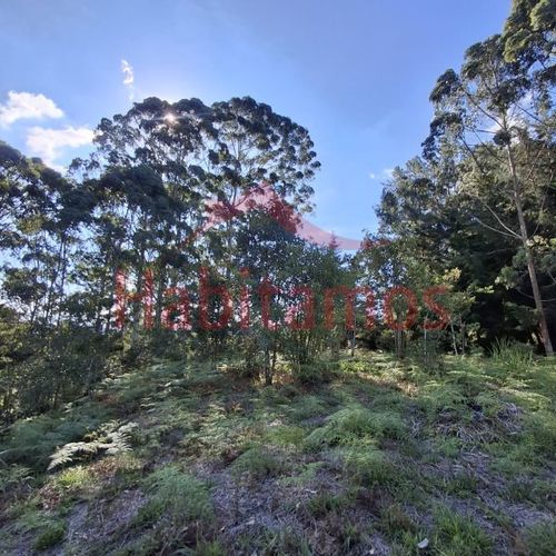 Lote en venta en Los Pinos, Rionegro, 9258 m² · foto 10 de 13