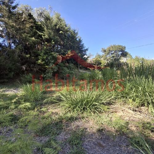 Lote en venta en Los Pinos, Rionegro, 9258 m² · foto 11 de 13