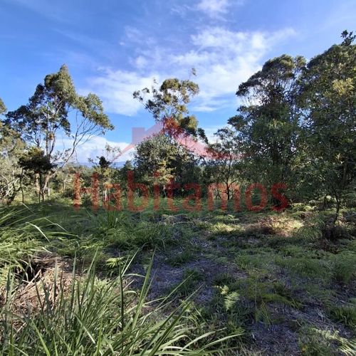 Lote en venta en Los Pinos, Rionegro, 9258 m² · foto 12 de 13