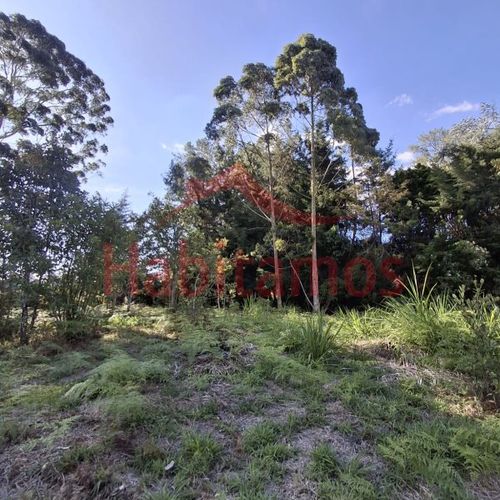 Lote en venta en Los Pinos, Rionegro, 9258 m² · foto 13 de 13