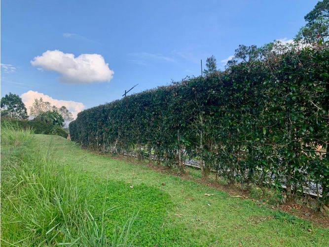 Lote en venta en Quirama, La Ceja, 2500 m² · foto 3 de 11