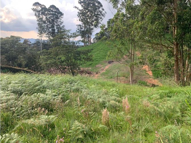 Lote en venta en Quirama, La Ceja, 2500 m² · foto 5 de 11