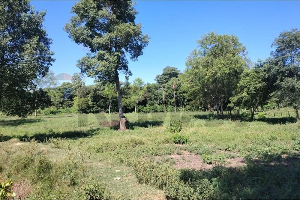 TERRENO DE 240.000 M2 SOBRE ASFALTO EN NUEVA GERMANIA - SAN PEDRO EN VENTA — foto 2