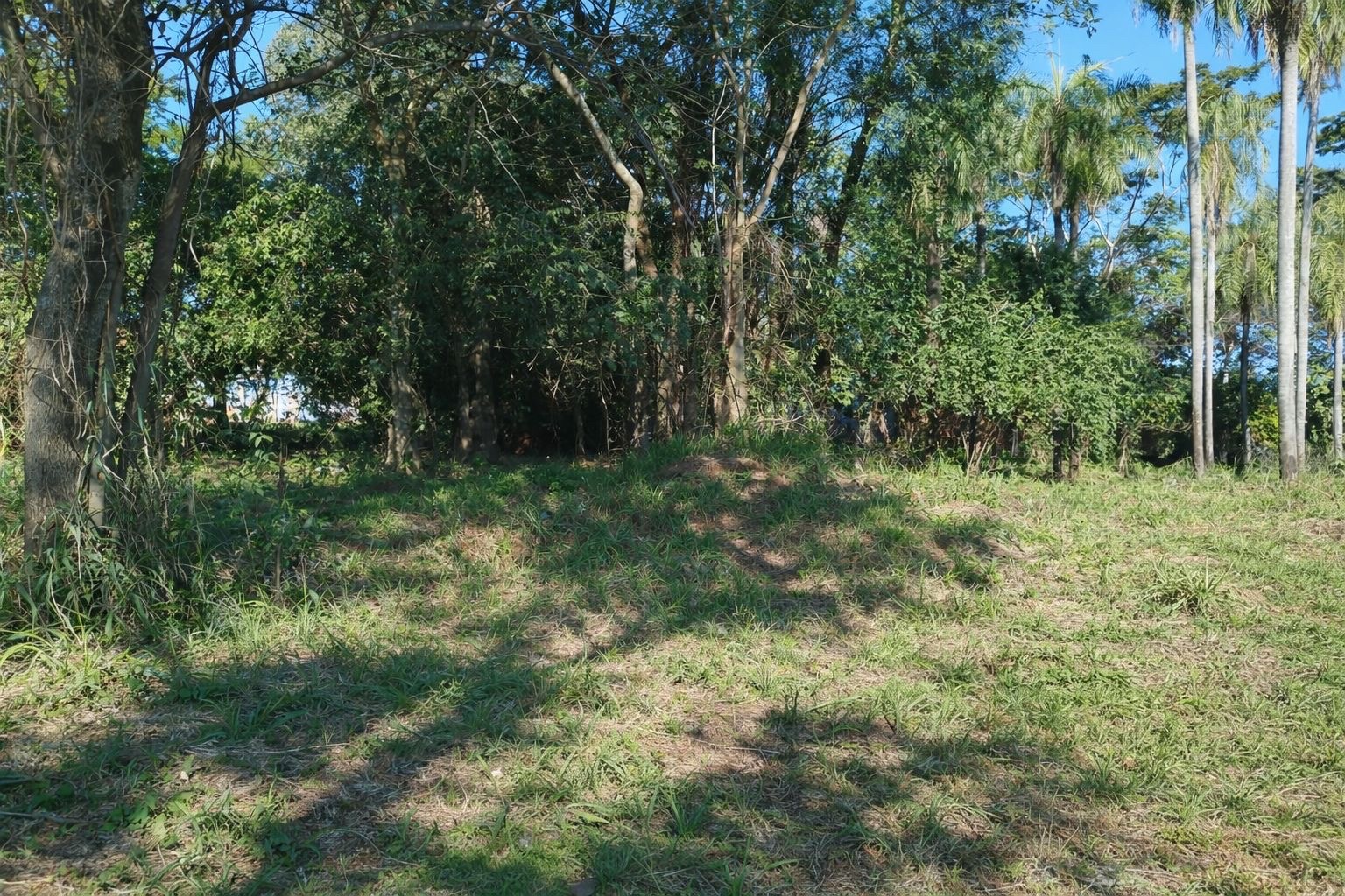 TERRENO EN VENTA, SAN LORENZO-ZONA PALACIO DE JUSTICIA.  -VM — foto 2