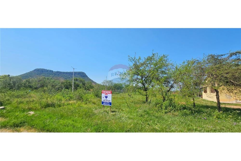 VENDO TERRENO A PASOS DEL NUEVO PARQUE LINEAL — foto 3