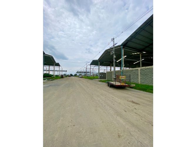Lote en venta en Palmaseca, Palmira, 1000 m² · foto 3 de 5