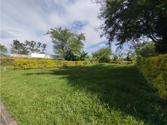 Lote en venta en Potrerito, Jamundí, 450 m² · foto 6 de 24
