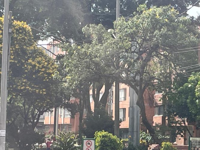 Apartamento en venta en Santa Barbara, Bogotá · foto 21 de 22