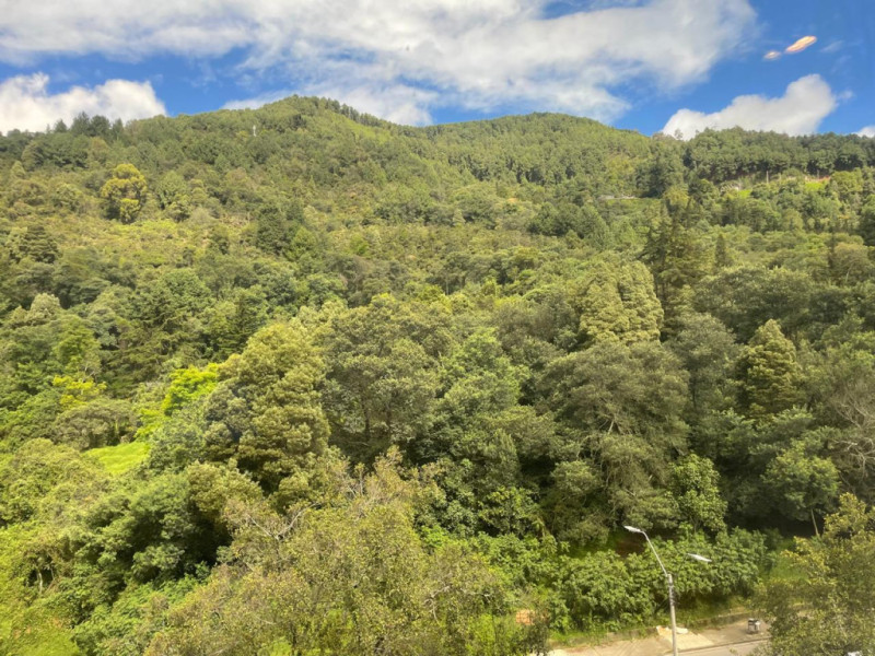 Apartamento en venta en Chicó Alto, Bogotá · foto 2 de 19
