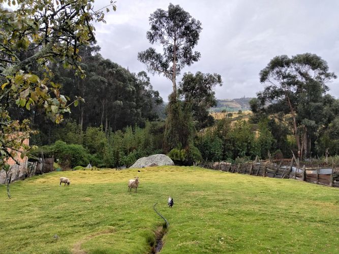 Casa de 2 alcobas en venta en El Uval Rural, Bogotá · foto 9 de 24