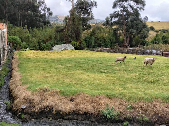 Casa de 2 alcobas en venta en El Uval Rural, Bogotá · foto 8 de 24