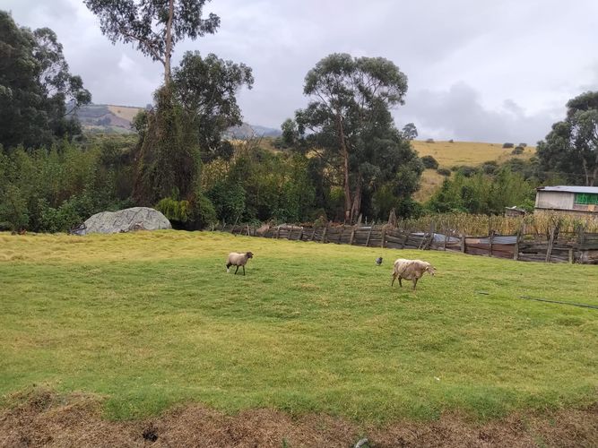 Casa de 2 alcobas en venta en El Uval Rural, Bogotá · foto 20 de 24