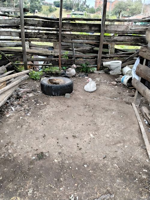 Casa de 2 alcobas en venta en El Uval Rural, Bogotá · foto 21 de 24