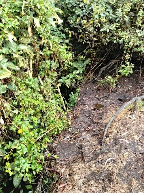 Casa de 2 alcobas en venta en El Uval Rural, Bogotá · foto 11 de 24