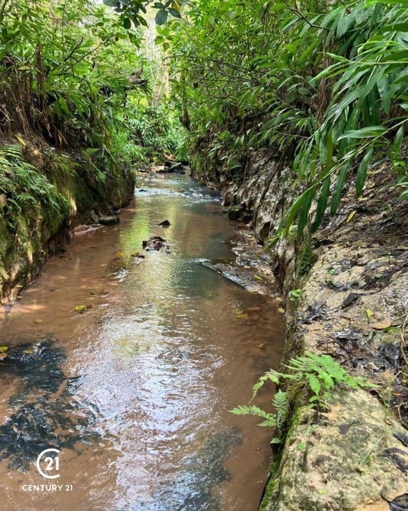 Vendo 2.4 hectáreas en Altos Ruta Altos - Atyra — foto 3