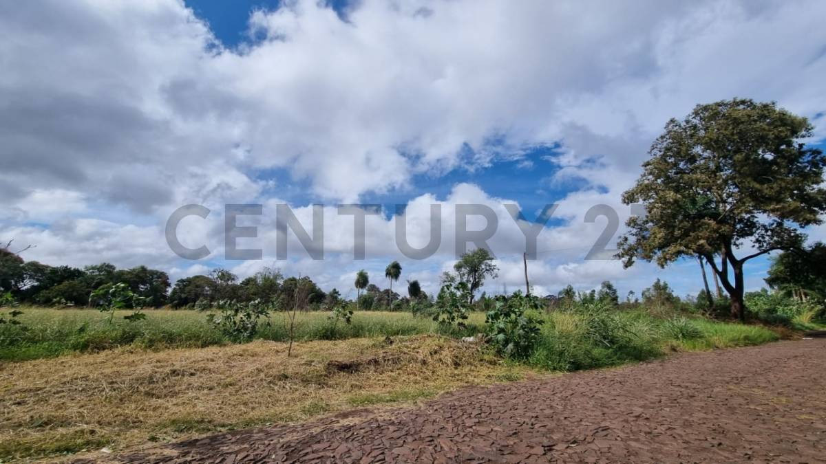 Terreno en venta en Pedro Juan Caballero — foto 2