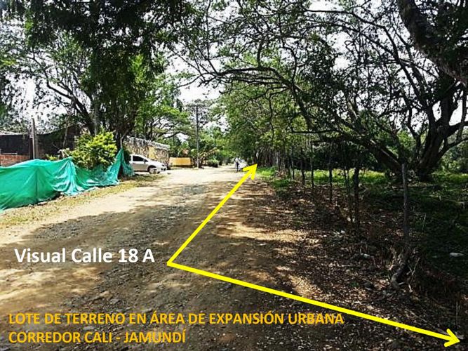 Lote en venta en Pance, Cali, 11745 m² · foto 3 de 19