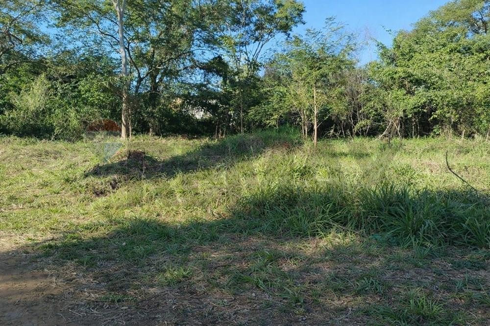 Venta — foto 3