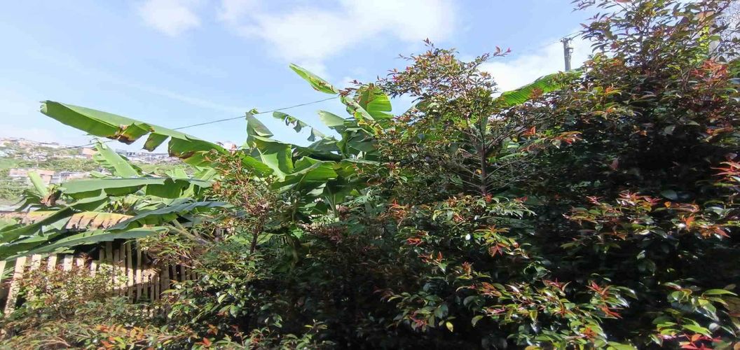 Lote en venta en Cervantes, Manizales, 96 m² · foto 4 de 17