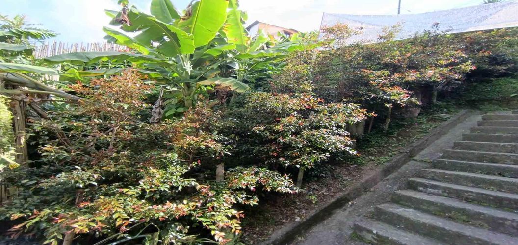 Lote en venta en Cervantes, Manizales, 96 m² · foto 5 de 17