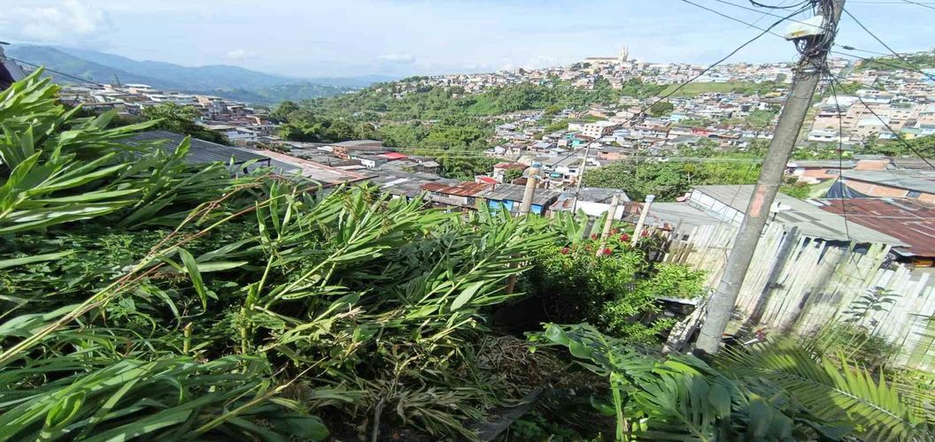 Lote en venta en Cervantes, Manizales, 96 m² · foto 9 de 17