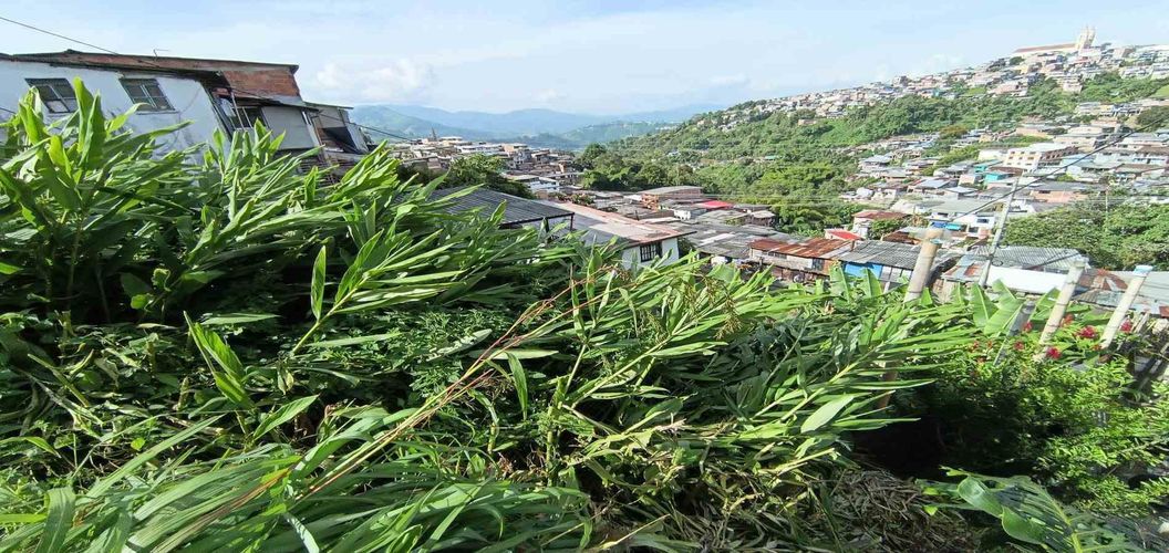 Lote en venta en Cervantes, Manizales, 96 m² · foto 10 de 17